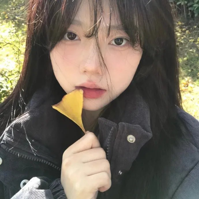 尼斯警花